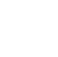 Physical & Cognitive Wellness Support