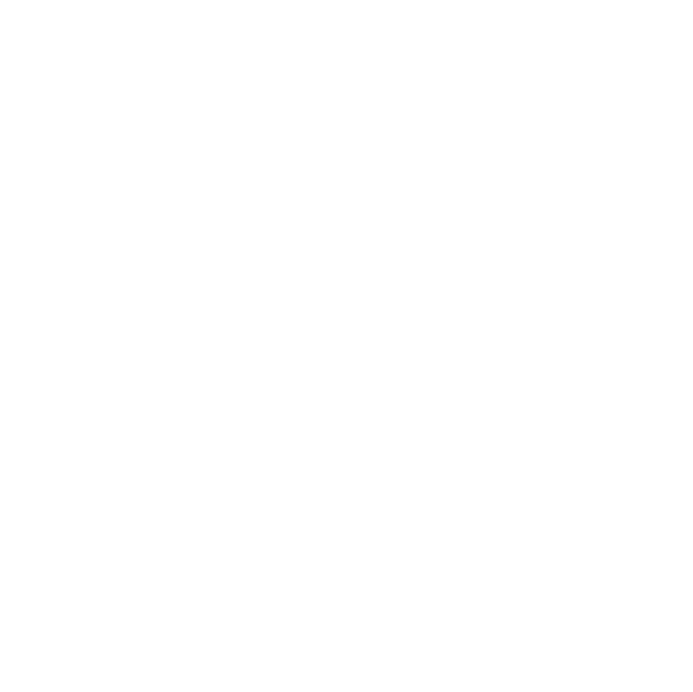 Mission Icon