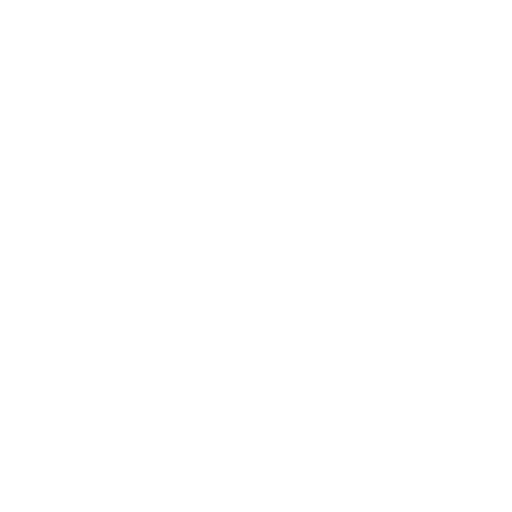 Bedside Caregiver
